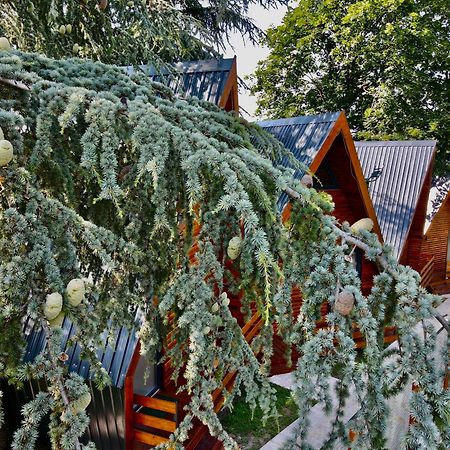 Planinske Kuce Grocka Apartment Bagian luar foto